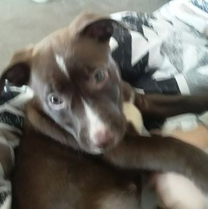 Meet your Posher, Rachelle